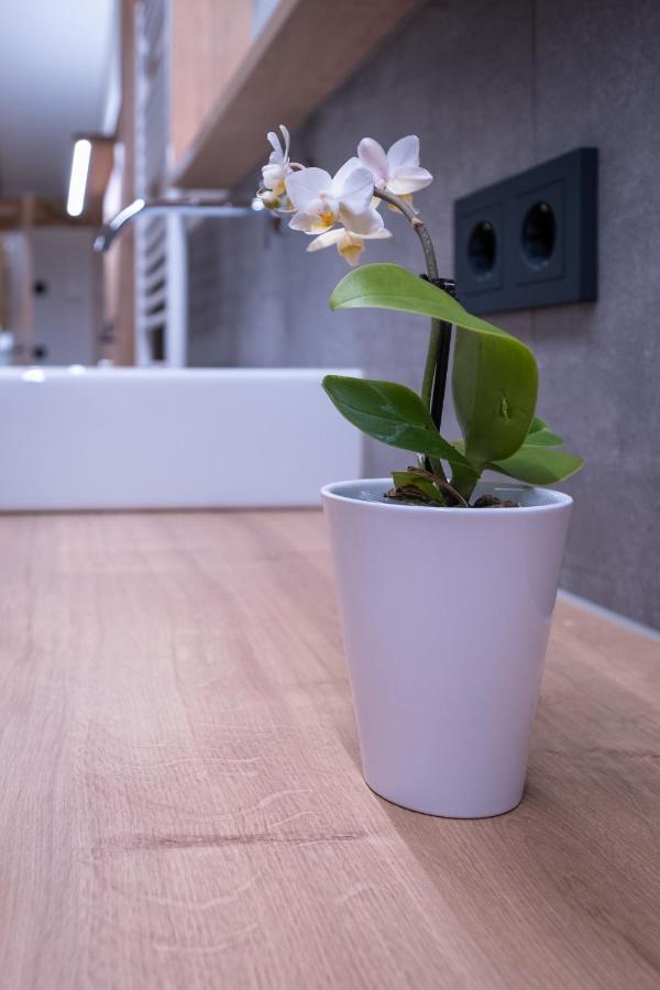 Apartment Haus Schoenwies 阿尔卑巴赫 外观 照片
